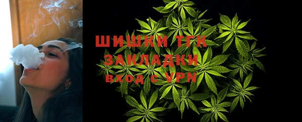 трава Инта