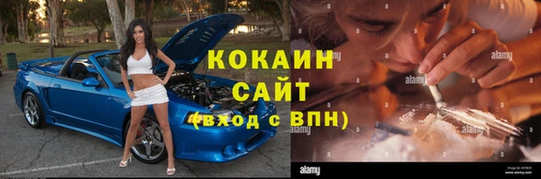 mdpv Инсар