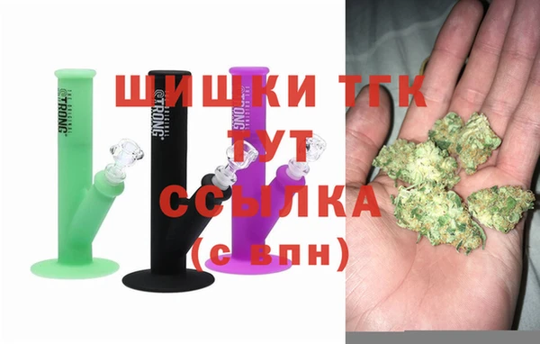 mdpv Инсар