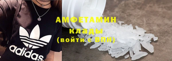 трава Инта