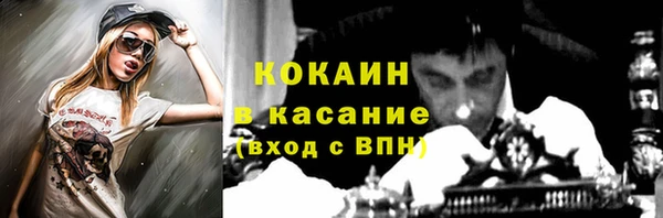 трава Инта