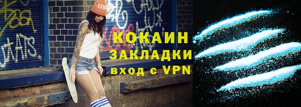 трава Инта