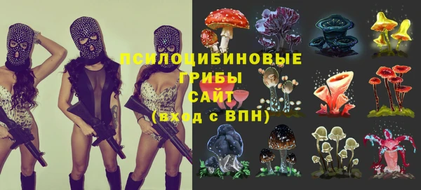 трава Инта