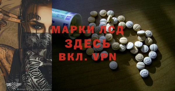 трава Инта