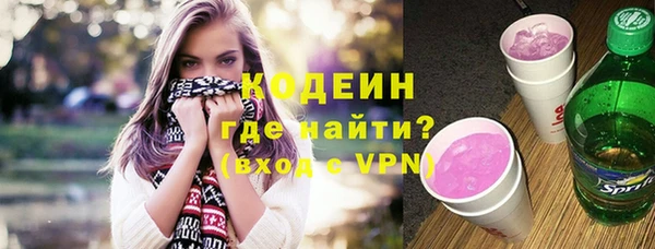 трава Инта