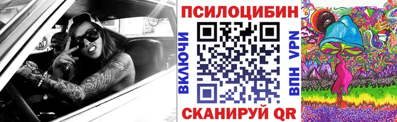 где можно купить   Зверево  hydra сайт  Псилоцибиновые грибы прущие грибы 